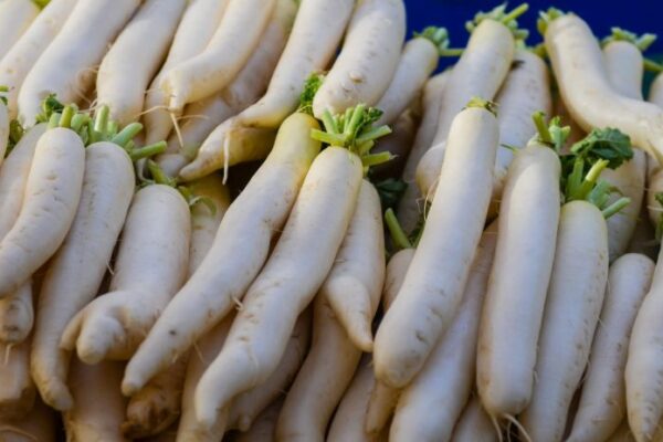 How to cook radish in indian style